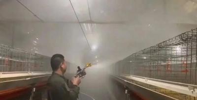 雞籠消毒