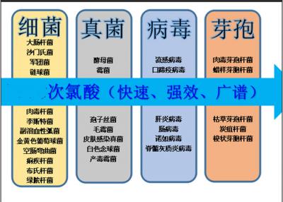 次氯酸消毒液