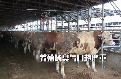 養(yǎng)殖場(chǎng)行業(yè)問題