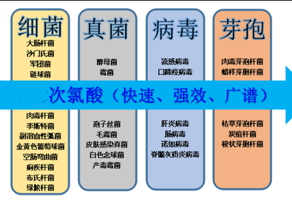 次氯酸 次氯酸